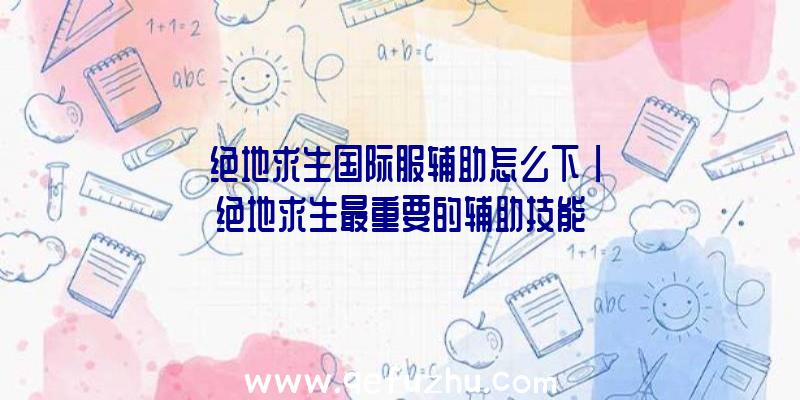 「绝地求生国际服辅助怎么下」|绝地求生最重要的辅助技能